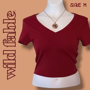 Wild Fable Women's Burgundy V-Neck Crop Top